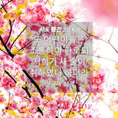 Picture 04 - 사도행전 2:13 KOR - 또 어떤이들은 조롱하여 가로되 - Bible Verse Picture