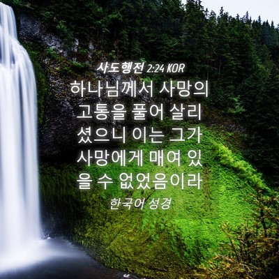 Picture 04 - 사도행전 2:24 KOR - 하나님께서 사망의 고통을 풀어 - Bible Verse Picture