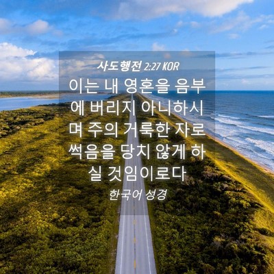 Picture 04 - 사도행전 2:27 KOR - 이는 내 영혼을 음부에 버리지 - Bible Verse Picture
