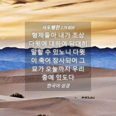 Picture 04 - 사도행전 2:29 KOR - 형제들아 내가 조상 다윗에 대하여 - Bible Verse Picture