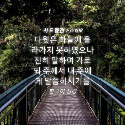 Picture 04 - 사도행전 2:34 KOR - 다윗은 하늘에 올라가지 못하였으나 - Bible Verse Picture