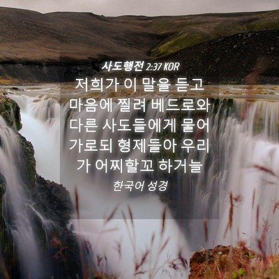 Picture 04 - 사도행전 2:37 KOR - 저희가 이 말을 듣고 마음에 찔려 - Bible Verse Picture