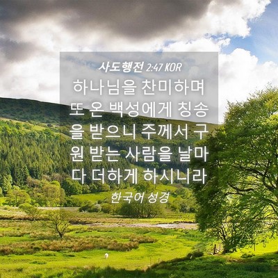 Picture 04 - 사도행전 2:47 KOR - 하나님을 찬미하며 또 온 백성에게 - Bible Verse Picture