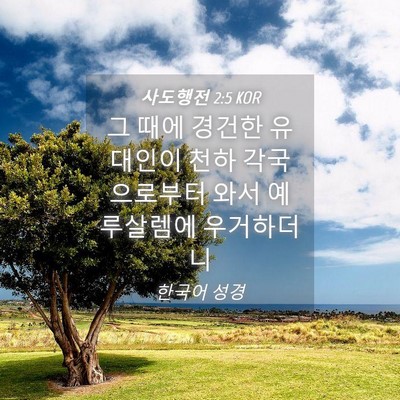Picture 04 - 사도행전 2:5 KOR - 그 때에 경건한 유대인이 천하 - Bible Verse Picture