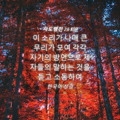 Picture 04 - 사도행전 2:6 KOR - 이 소리가 나매 큰 무리가 모여 각각 - Bible Verse Picture