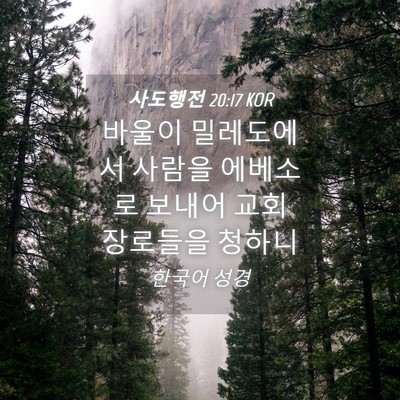Picture 04 - 사도행전 20:17 KOR - 바울이 밀레도에서 사람을 에베소로 - Bible Verse Picture