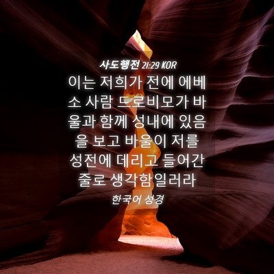Picture 04 - 사도행전 21:29 KOR - 이는 저희가 전에 에베소 사람 - Bible Verse Picture