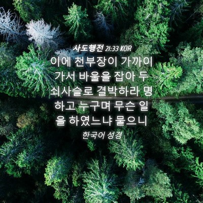 Picture 04 - 사도행전 21:33 KOR - 이에 천부장이 가까이 가서 바울을 - Bible Verse Picture
