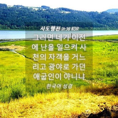 Picture 04 - 사도행전 21:38 KOR - 그러면 네가 이전에 난을 일으켜 - Bible Verse Picture