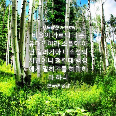Picture 04 - 사도행전 21:39 KOR - 바울이 가로되 나는 유대인이라 - Bible Verse Picture
