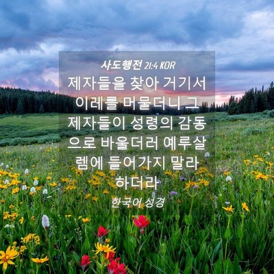Picture 04 - 사도행전 21:4 KOR - 제자들을 찾아 거기서 이레를 - Bible Verse Picture