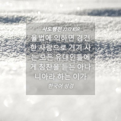 Picture 04 - 사도행전 22:12 KOR - 율법에 의하면 경건한 사람으로 거기 - Bible Verse Picture