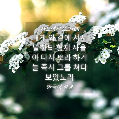 Picture 04 - 사도행전 22:13 KOR - 내게 와 곁에 서서 말하되 형제 - Bible Verse Picture