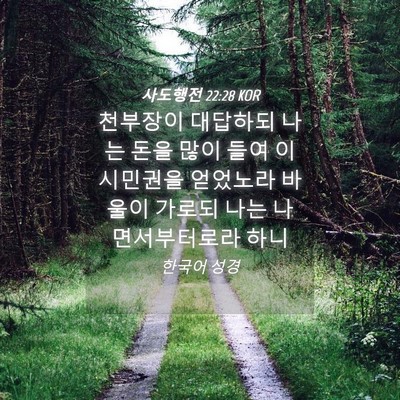 Picture 04 - 사도행전 22:28 KOR - 천부장이 대답하되 나는 돈을 많이 - Bible Verse Picture