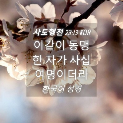 Picture 04 - 사도행전 23:13 KOR - 이같이 동맹한 자가 - Bible Verse Picture