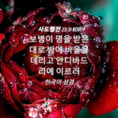 Picture 04 - 사도행전 23:31 KOR - 보병이 명을 받은 대로 밤에 바울을 - Bible Verse Picture