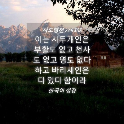 Picture 04 - 사도행전 23:8 KOR - 이는 사두개인은 부활도 없고 천사도 - Bible Verse Picture