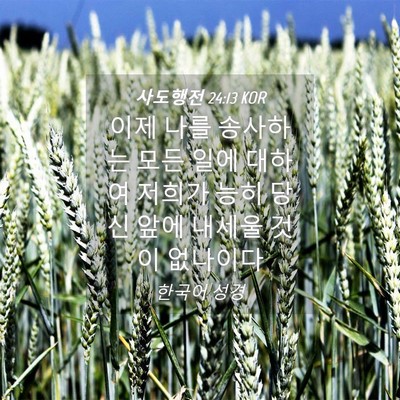 Picture 04 - 사도행전 24:13 KOR - 이제 나를 송사하는 모든 일에 - Bible Verse Picture