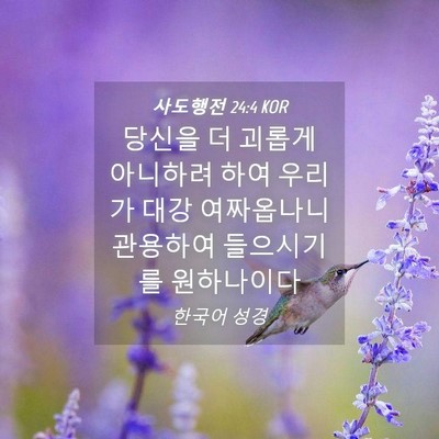 Picture 04 - 사도행전 24:4 KOR - 당신을 더 괴롭게 아니하려 하여 - Bible Verse Picture