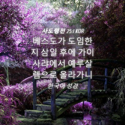 Picture 04 - 사도행전 25:1 KOR - 베스도가 도임한지 삼일 후에 - Bible Verse Picture
