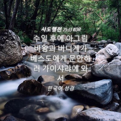 Picture 04 - 사도행전 25:13 KOR - 수일 후에 아그립바왕과 버니게가 - Bible Verse Picture