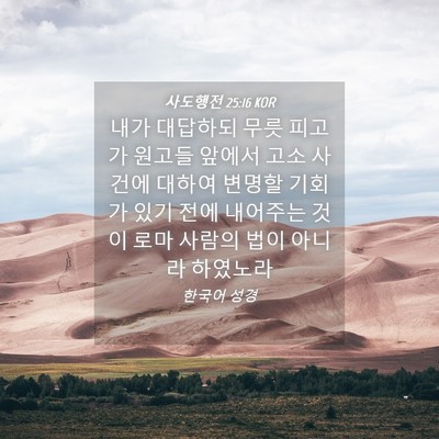 Picture 04 - 사도행전 25:16 KOR - 내가 대답하되 무릇 피고가 원고들 - Bible Verse Picture