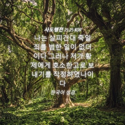 Picture 04 - 사도행전 25:25 KOR - 나는 살피건대 죽일 죄를 범한 일이 - Bible Verse Picture