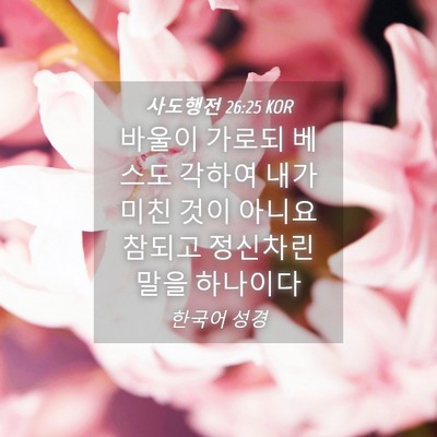 Picture 04 - 사도행전 26:25 KOR - 바울이 가로되 베스도 각하여 내가 - Bible Verse Picture