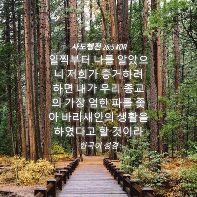 Picture 04 - 사도행전 26:5 KOR - 일찍부터 나를 알았으니 저희가 - Bible Verse Picture