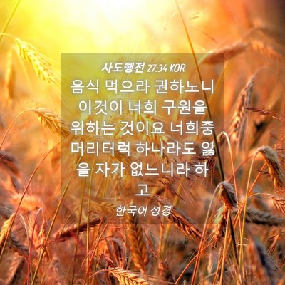 Picture 04 - 사도행전 27:34 KOR - 음식 먹으라 권하노니 이것이 너희 - Bible Verse Picture