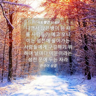Picture 04 - 사도행전 3:2 KOR - 나면서 앉은뱅이 된 자를 사람들이 - Bible Verse Picture