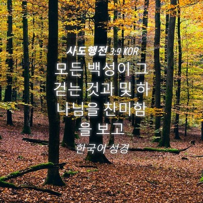 Picture 04 - 사도행전 3:9 KOR - 모든 백성이 그 걷는 것과 및 - Bible Verse Picture