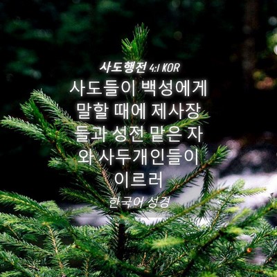 Picture 04 - 사도행전 4:1 KOR - 사도들이 백성에게 말할 때에 - Bible Verse Picture