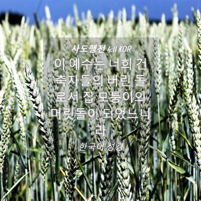 Picture 04 - 사도행전 4:11 KOR - 이 예수는 너희 건축자들의 버린 - Bible Verse Picture