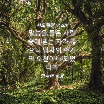 Picture 04 - 사도행전 4:4 KOR - 말씀을 들은 사람 중에 믿는 자가 - Bible Verse Picture