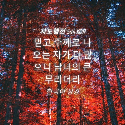 Picture 04 - 사도행전 5:14 KOR - 믿고 주께로 나오는 자가 더 많으니 - Bible Verse Picture