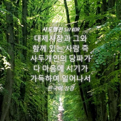 Picture 04 - 사도행전 5:17 KOR - 대제사장과 그와 함께 있는 사람 즉 - Bible Verse Picture