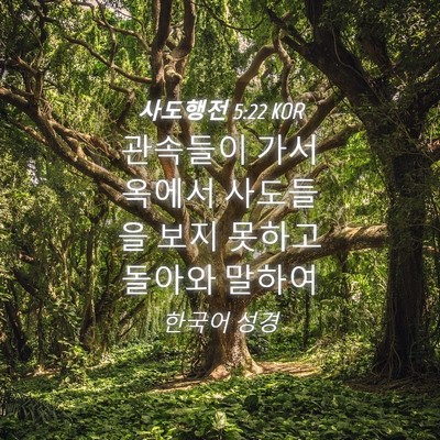 Picture 04 - 사도행전 5:22 KOR - 관속들이 가서 옥에서 사도들을 보지 - Bible Verse Picture