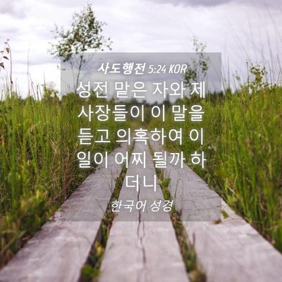 Picture 04 - 사도행전 5:24 KOR - 성전 맡은 자와 제사장들이 이 말을 - Bible Verse Picture