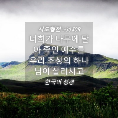 Picture 04 - 사도행전 5:30 KOR - 너희가 나무에 달아 죽인 예수를 - Bible Verse Picture