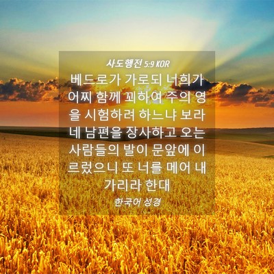 Picture 04 - 사도행전 5:9 KOR - 베드로가 가로되 너희가 어찌 함께 - Bible Verse Picture