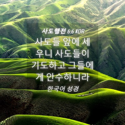 Picture 04 - 사도행전 6:6 KOR - 사도들 앞에 세우니 사도들이 - Bible Verse Picture