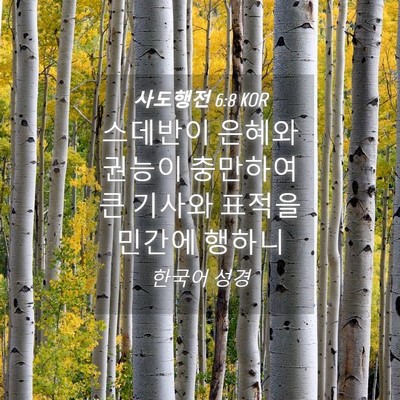 Picture 04 - 사도행전 6:8 KOR - 스데반이 은혜와 권능이 충만하여 큰 - Bible Verse Picture