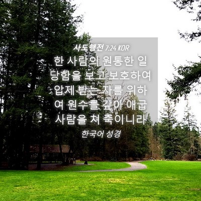 Picture 04 - 사도행전 7:24 KOR - 한 사람의 원통한 일 당함을 보고 - Bible Verse Picture