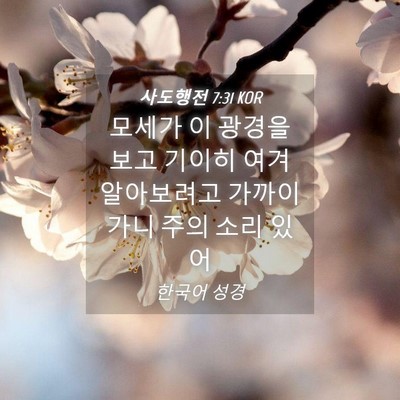 Picture 04 - 사도행전 7:31 KOR - 모세가 이 광경을 보고 기이히 여겨 - Bible Verse Picture