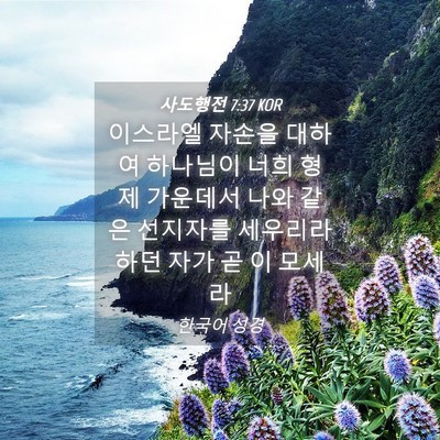 Picture 04 - 사도행전 7:37 KOR - 이스라엘 자손을 대하여 하나님이 - Bible Verse Picture