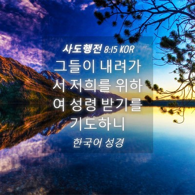 Picture 04 - 사도행전 8:15 KOR - 그들이 내려가서 저희를 위하여 성령 - Bible Verse Picture