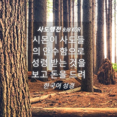 Picture 04 - 사도행전 8:18 KOR - 시몬이 사도들의 안수함으로 성령 - Bible Verse Picture