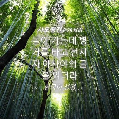 Picture 04 - 사도행전 8:28 KOR - 돌아 가는데 병거를 타고 선지자 - Bible Verse Picture