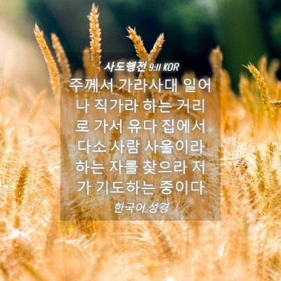 Picture 04 - 사도행전 9:11 KOR - 주께서 가라사대 일어나 직가라 하는 - Bible Verse Picture